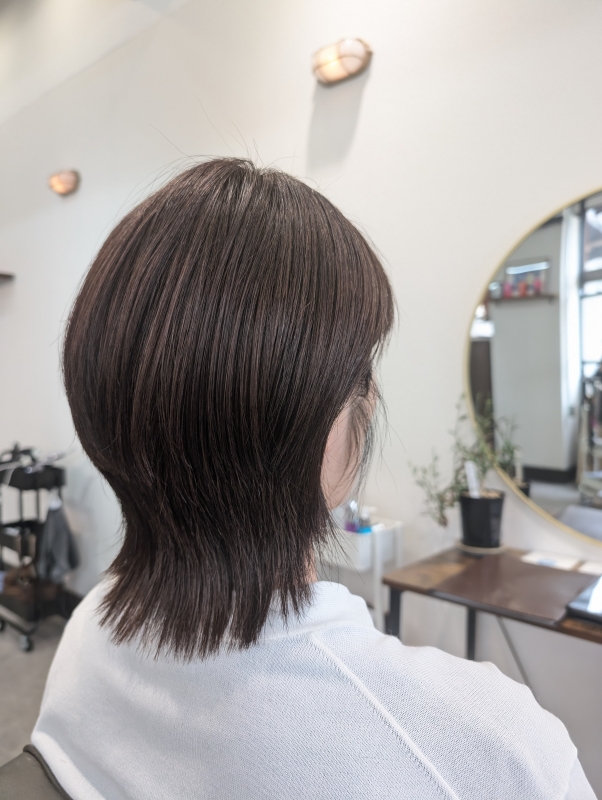 ミディアムウルフ