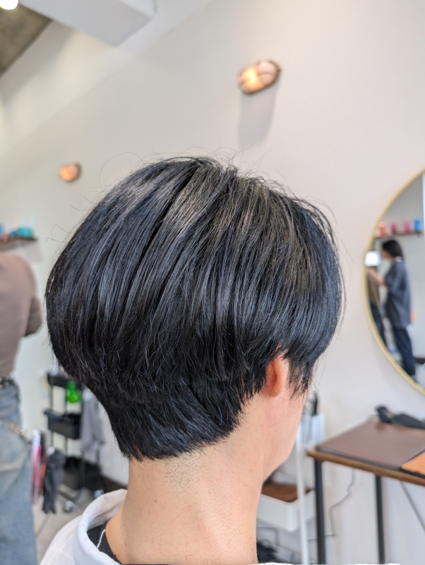 ブルーブラックショート